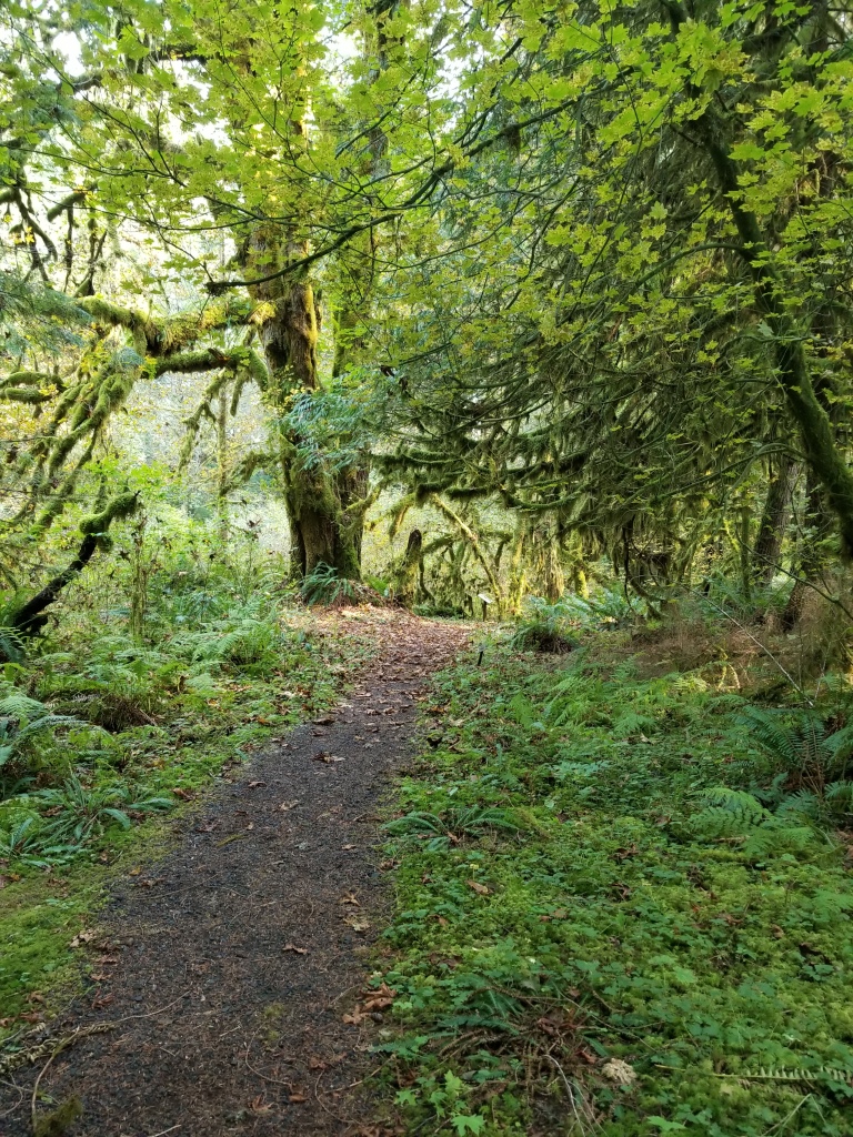 A gravel trail descends amidst green plants. Trees in the background.