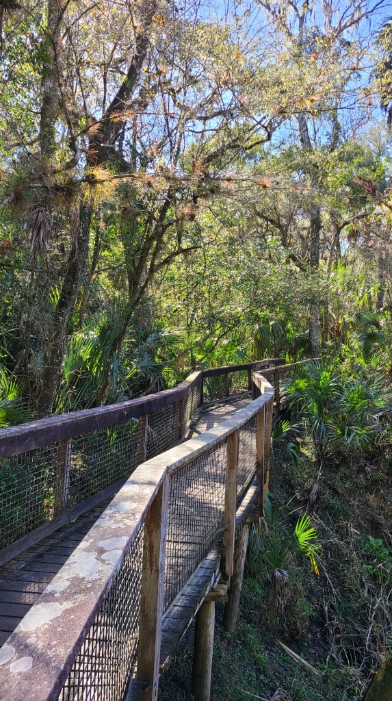 A elevated boardwalk follows the hillside above a river, with green tropical plants surrounding
