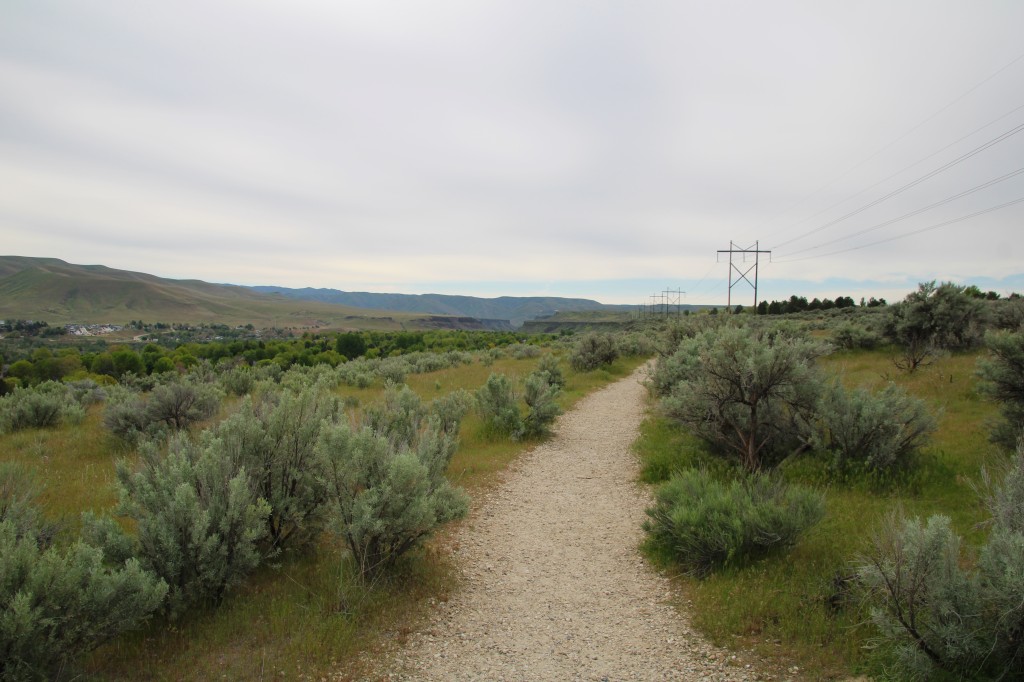Oregon Reserve Trail, gravel trail surrounded by sagebrush